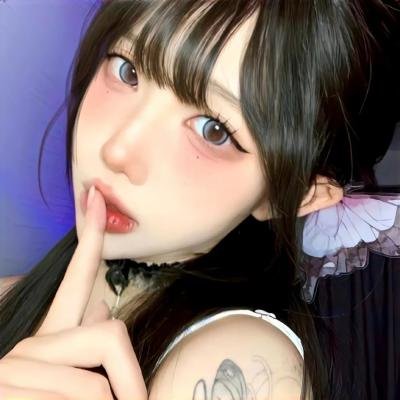 莫西干回到故乡